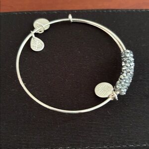 Alex and Ani Silver Bangle Bracelet.